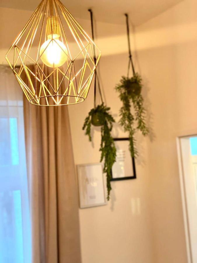 Amazonian Jungle Apartment In וינה מראה חיצוני תמונה